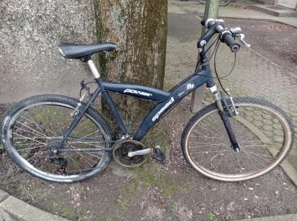 Mountainbike Speed OMEGA Planet Sports in 26 Zoll