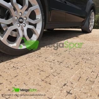 Paddockgitter Rasengitter ideale Parkplatzgitter für Paddocks und Parkplätze