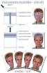 Passbilder SOFORT auch biometrisch für Pass Visa etc.