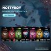 NottyBoy Flitterwochen Bulk-Kondompackung Gerippte gepunktete aromatisierte