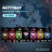 NottyBoy Flitterwochen Bulk-Kondompackung Gerippte gepunktete aromatisierte