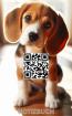 Schönes Notizbuch mit Beaglemotiv Buch Das perfekte Geschenk für Hunde Liebhab